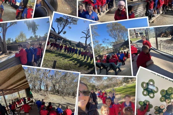 Ky fauna Park
